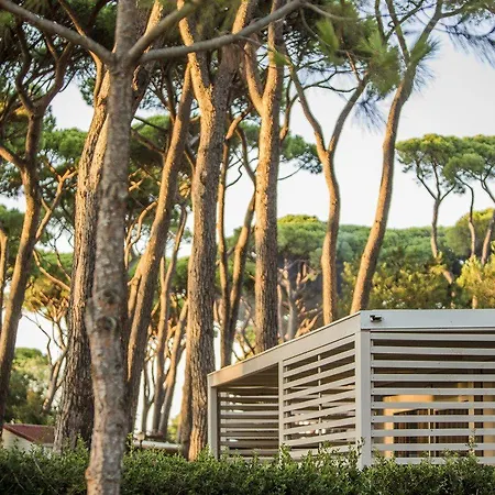 Hu Park Albatros Village