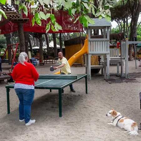 Hu Park Albatros Village Prázdninový areál