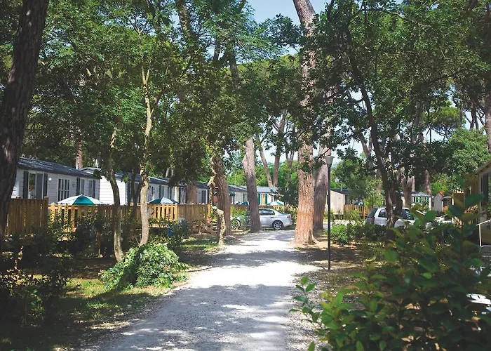 Hu Park Albatros Village 3* 圣温琴佐