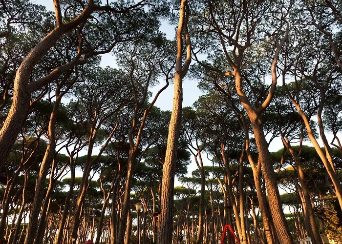 Hu Park Albatros Village 3*